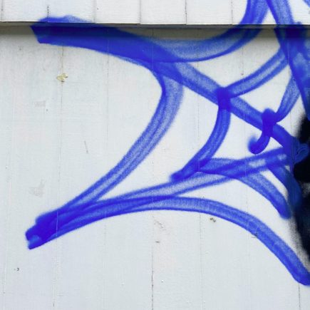 spider web painted in blue paint